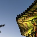 응봉개나리어린이공원 | 꽃구경 가볼만한곳 :: 4월 초 개나리가 정말 예쁜, 응봉개나리어린이공원