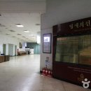 대덕손칼국수식당