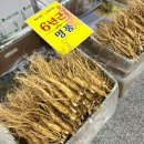 수삼랜드 이미지