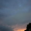 신백로 8길 이미지