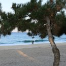 ER-50[영동고속도로]-상-150 | 제왕산과 겨울 동해바다 추억만들기(15.1.10)