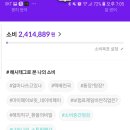 카체크 이미지