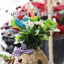 남곡초등학교(병설) 이미지