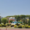 ㈜푸른솔관광 | 이천 도자기 축제 방문 후기: 그릇 추천 (너븐재 토토...라기환 세라믹몽 솔솔푸른솔 조오씨네 도도...