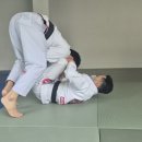 그레이시72