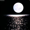 SILENTIUM 침묵 이미지