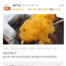 성호각 티스토리