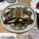 크랩앤하우스 간장게장 무한리필 벨라시타점 | 일산 간장게장 무한리필 크랩하우스ㅣ살이 꽉 차있는 백석 벨라시타 게장 맛집 내돈내산 찐후기