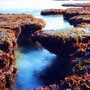 모포리 물통바위(바다협곡) 이미지
