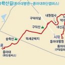 명품꽃마을 Daum카페