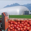 대박농장2 이미지