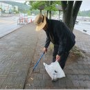 (야간열차) 주왕산 사무소 지하실 &amp; 식물 자생원 정리정돈 이미지