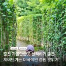 춘천 제이드가든 아이랑 한여름 다녀온 후기 유모차 소요시간 카페정보