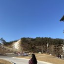 포인부츠 이미지