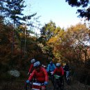 블루시티 이미지