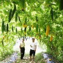 여의주농장 이미지