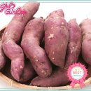 여주-0861 Daum카페