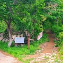 대장동 용추계곡 이미지