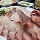 해사랑어사랑수산8 | 천안시농수산물도매시장/직산수산시장/ 38번 '어사랑수산'/ 8kg 대방어 구매후기!