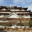 서울종합TV 이미지