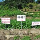 마트 백두대간