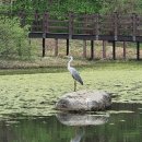 성북-길음-3677 이미지