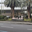 애월치과의원 | 2025.03.09 (2월 결산)