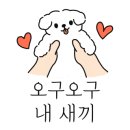 댕스밥상 이미지