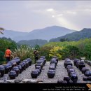 굴구지정원 이미지