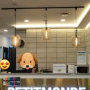 쁘띠몽드 스위밍 아카데미 이미지