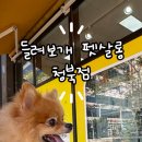 들려보개 - 평택시 안청로2길 33-47 | 들려보개
