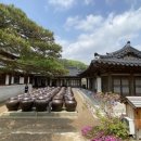 남한산성토종닭 이미지