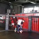 팀피니쉬 주짓수&복싱MMA 네이버블로그