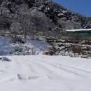 설국농장 이미지