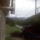산내과수