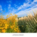 광산마을 이미지