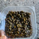신원전자 | 청도 계곡 , 청도 신원 계곡 , 신원계곡 평상