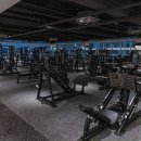 피트니스 엘 이미지