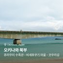 무지개해양수족관 | 오키나와 4박 5일 2일차 - 북부 동선 완벽 정리 (츄라우미 수족관)