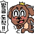 다움동물병원 이미지