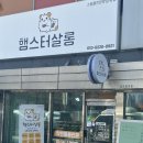 햄토리 군단 | 평택 햄스터살롱 골든햄스터입양 천안 골든햄스터 3