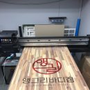 앵그리바디짐 이미지