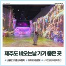 제주도 비오는 날 가볼만한곳 서귀포 실내여행지 워터월드 개꿀잼 후기