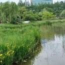 보라매공원 이미지