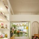 제이아뜨리에 이미지