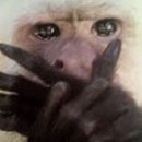 인생우동 이미지