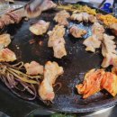 벼슬돼지