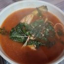 충북 단양 현지인 맛집 백마식당에서 내돈내산 후기