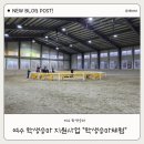 법인여수재활승마 | 여수 학생승마체험 지원사업 ㅣ 학생승마체험 후기