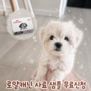 로얄피부헤어 | 강아지 고양이 사료 브랜드 로얄캐닌 사료 샘플 무료체험 신청 후기